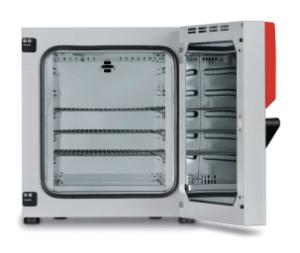 Binder Trocknungsschrank ED260, natürliche Umluft