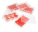 6-Well Cell Culture Plate‚ Clear‚ Flat Bottom‚ Ti ssue Culture (TC) Treated‚ Plastic/Paper Indivi dual Packing‚ Sterile
1piece/pack‚ 50packs/carton