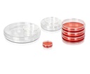 35mm Cell Culture Dish‚ Tissue Culture (TC) T reated‚ Easy-Grip‚ Sterile
20pieces/bag‚ 25bags/carton
