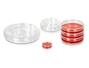 90mm x 15mm Petri Dish‚ Sterile 10pieces/bag‚ 50bags/carton