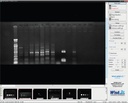 Geldokumentationssysteme WGD20 portabel mit Kamera und Software