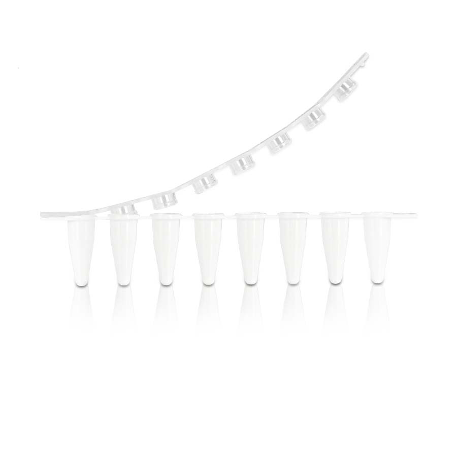 0.1 ml 8-Strip White PCR Tube with 8-Strip clear Flat Cap‚ Non-Sterile
125strips/bag‚ 1bag/pack‚ 10packs/carton