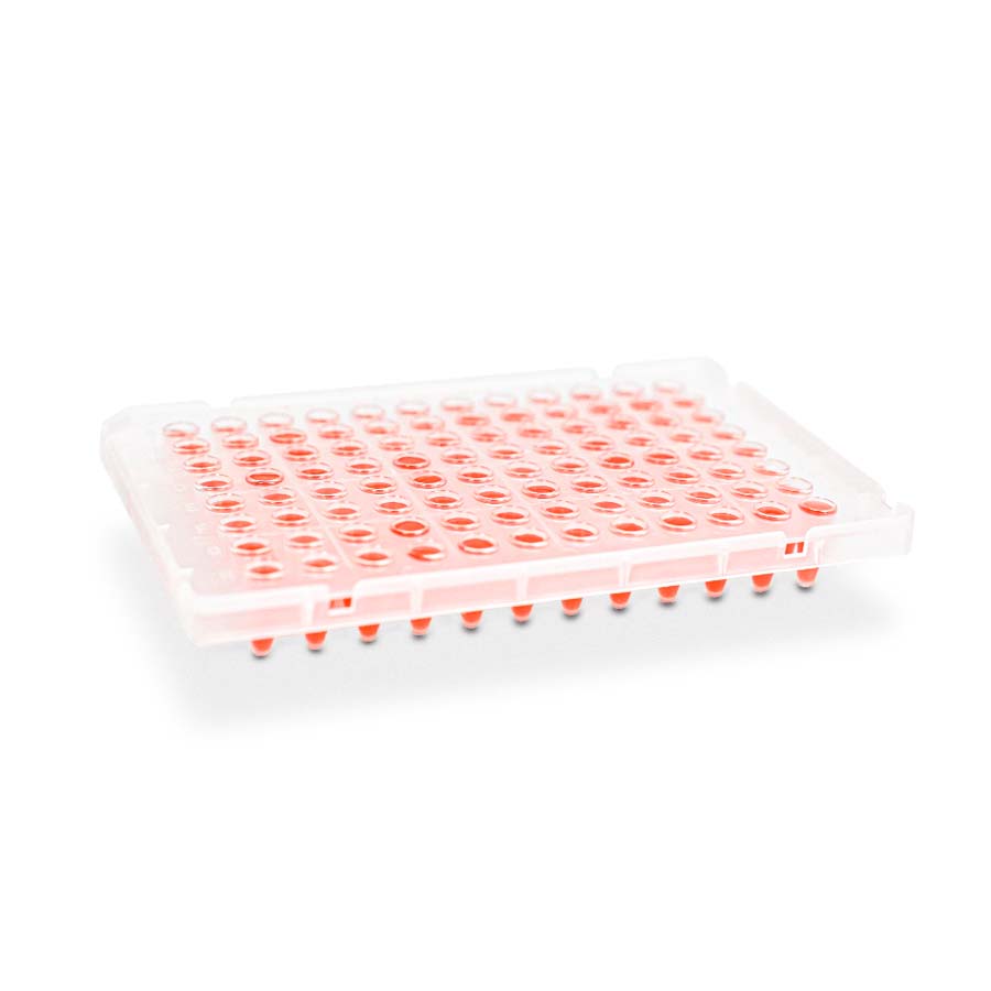 0.1 ml 96-Well PCR Plate‚ Semi Skirt‚ Non-Flat deck‚ Frost‚ Non- Sterile
5pieces/bag‚ 5bags/pack‚ 6packs/carton