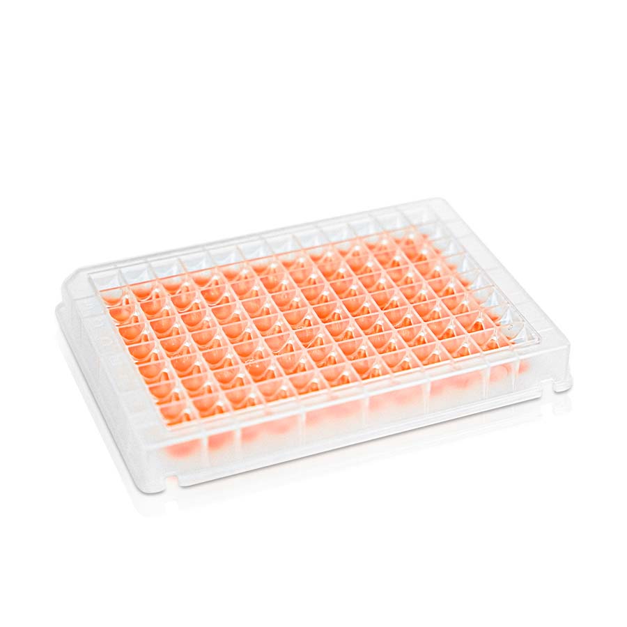 500 uL Deep Well Plate‚ 96-Well‚ Square Well‚ V Bottom‚ Non-Sterile
10 pieces/bag‚ 10 bags/carton
