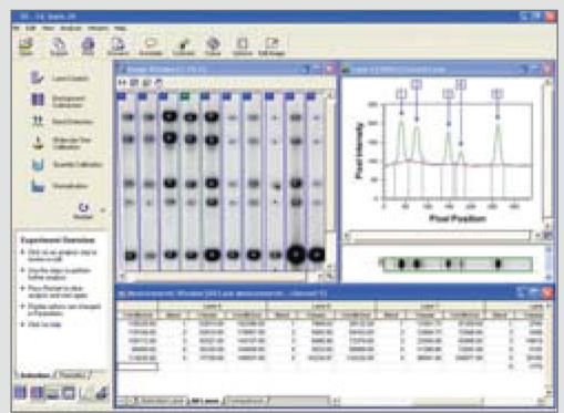 [DH.WGD00100] TotalLab™ Quant Software