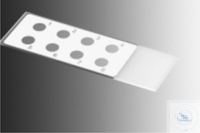 [4 521 301] Fluoreszenz Antikörper Objektträger,   75 x 25 x 1 mm, 8 Ringe D: 6 mm,  VE = 50 Stück