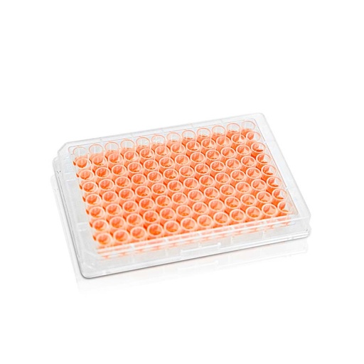 [PK00159 Karton] 400 uL Deep Well Plate‚ 96-Well‚ Round Well‚ U Bottom‚ Non-Sterile
10pieces/bag‚ 10bags/carton