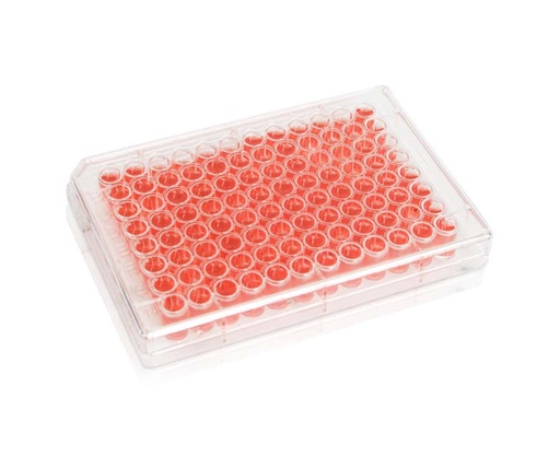 [PK00258 Karton] 96-Well Cell Culture Plate‚ Clear‚ Flat Bottom‚ Tissue Culture (TC) Treated‚ Plastic/Paper Indi vidual Packing‚ Sterile
1piece/pack‚ 50packs/carton