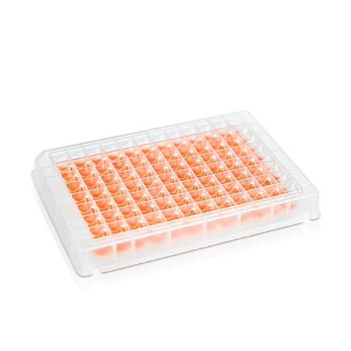 [PK00160] 500 uL Deep Well Plate‚ 96-Well‚ Square Well‚ V Bottom‚ Non-Sterile
10 pieces/bag‚ 10 bags/carton