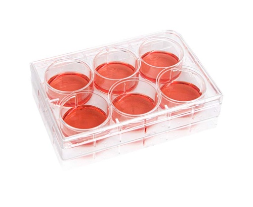 [PK00254] 6-Well Cell Culture Plate‚ Clear‚ Flat Bottom‚ Ti ssue Culture (TC) Treated‚ Plastic/Paper Indivi dual Packing‚ Sterile
1piece/pack‚ 50 packs/carton