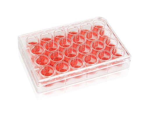 [PK00256] 24-Well Cell Culture Plate‚ Clear‚ Flat Bottom‚ Tissue Culture (TC) Treated‚ Plastic/Paper Individual Packing‚ Sterile
1piece/pack‚ 50 packs/carton