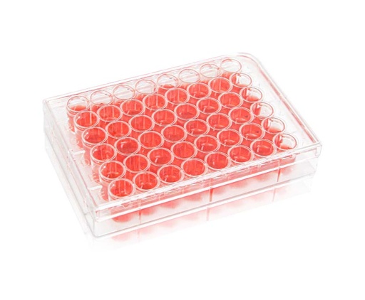 [PK00257] 48-Well Cell Culture Plate‚ Clear‚ Flat Bottom‚ Tissue Culture (TC) Treated‚ Plastic/Paper Individual Packing‚ Sterile
1piece/pack‚ 50 packs/carton