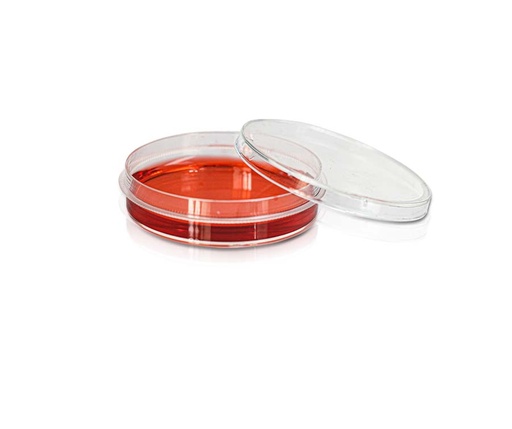 [PK00267] 60 mm Cell Culture Dish‚ Tissue Culture (TC) T reated‚ Easy-Grip‚ Sterile
20 pieces/bag‚ 25 bags/carton